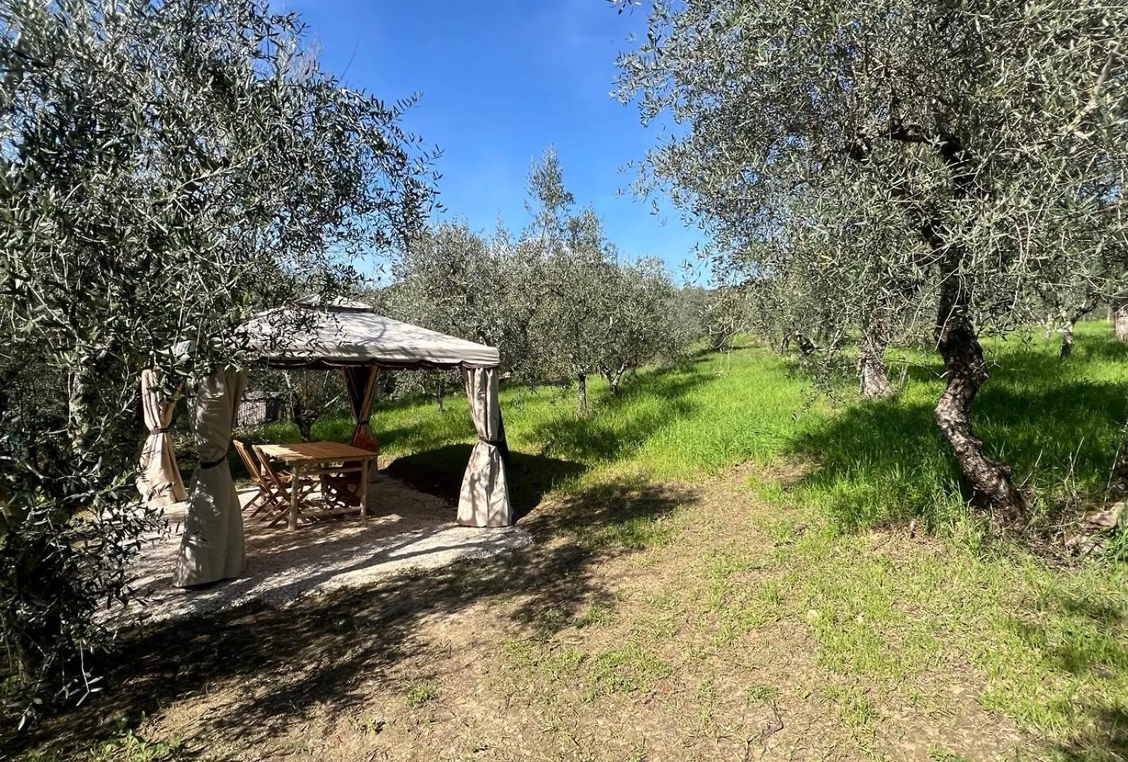 Olive Garden Loft - Settignano Daire